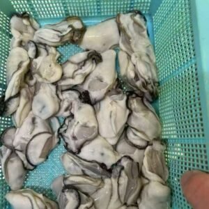 日本产新鲜海蛎肉（中大号）