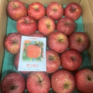 岩手縣產 蘋果