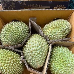 泰国托曼尼榴莲