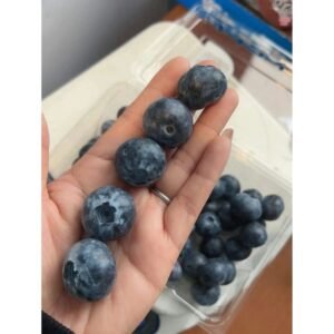 智利蓝莓