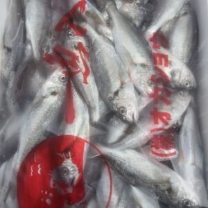 小黄鱼