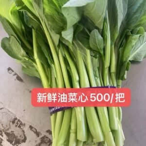 新鲜油菜心