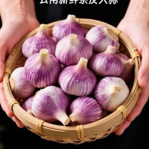 新鲜紫皮大蒜