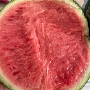 熊本大西瓜