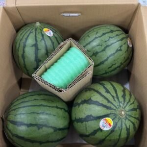 薄皮西瓜