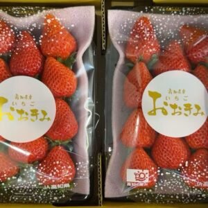 おおきみ草莓