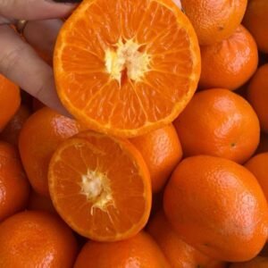 进口手拨橙