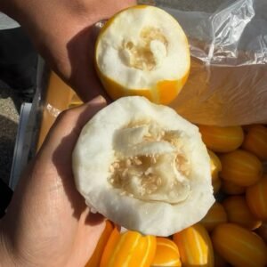 韩国香瓜