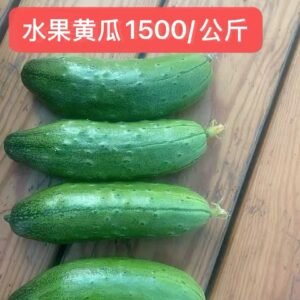 水果黄瓜