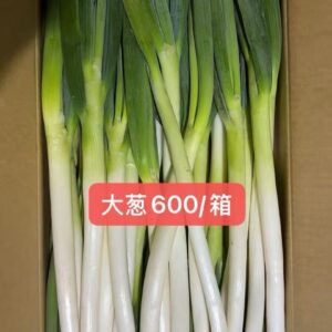 大葱