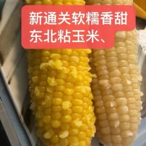 东北粘玉米