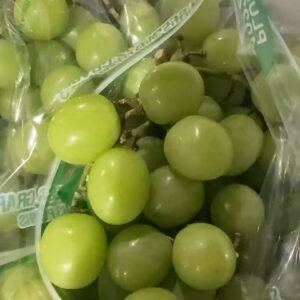 甜地球葡萄