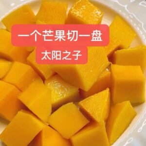 太阳之子宫崎芒果