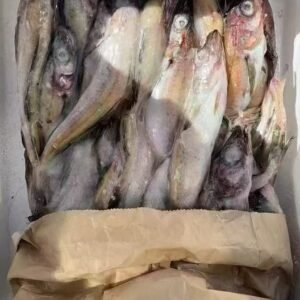 鳕鱼
