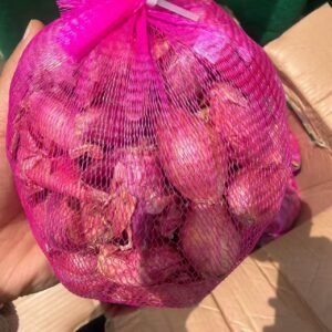 毛葱