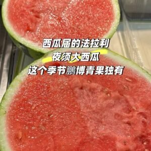 高知县夜须西瓜