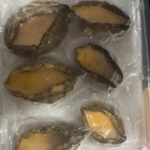 鲍鱼肉