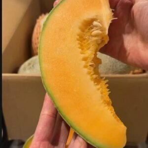 红心哈密瓜