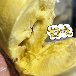 网红冷冻榴莲