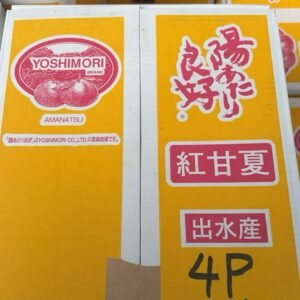 红甘夏冻橙